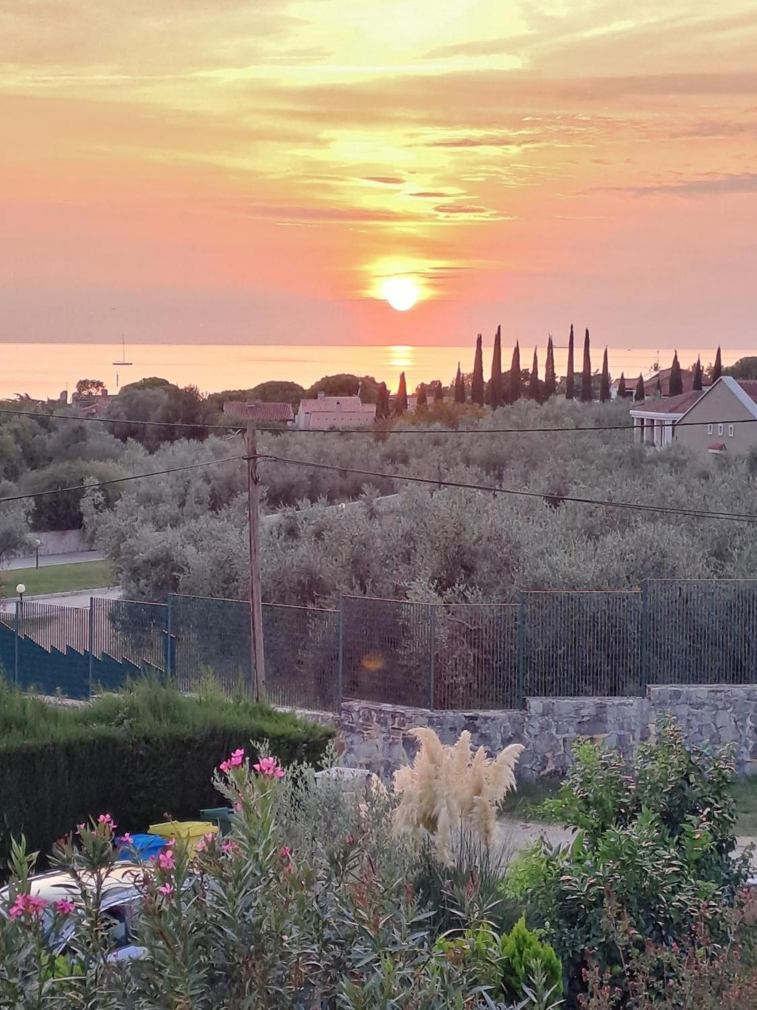 New Apartment Vivano V I D With Amazing View ザンブラティヤ エクステリア 写真