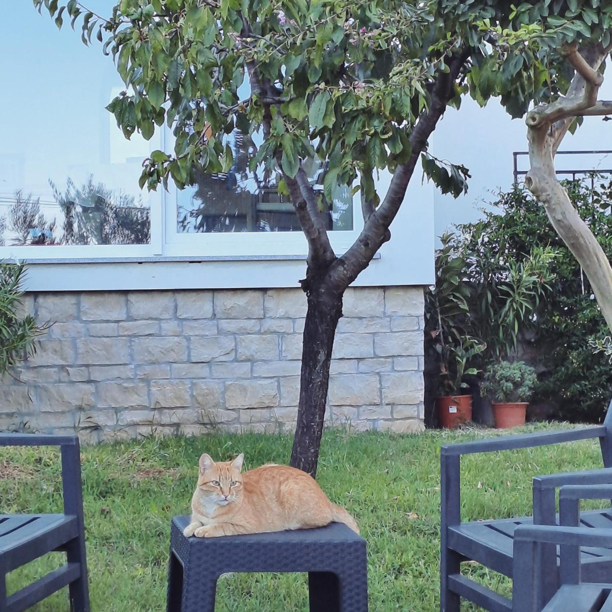 New Apartment Vivano V I D With Amazing View ザンブラティヤ エクステリア 写真